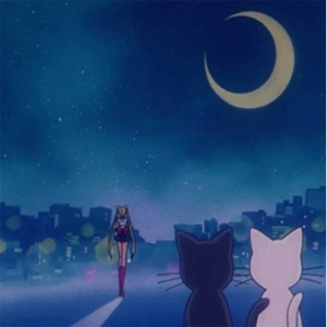 美女心研大尺度写真图片
